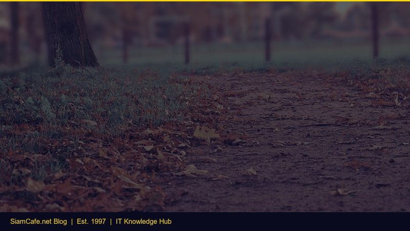 การ Monitor Bandwidth — คู่มือฉบับสมบูรณ์