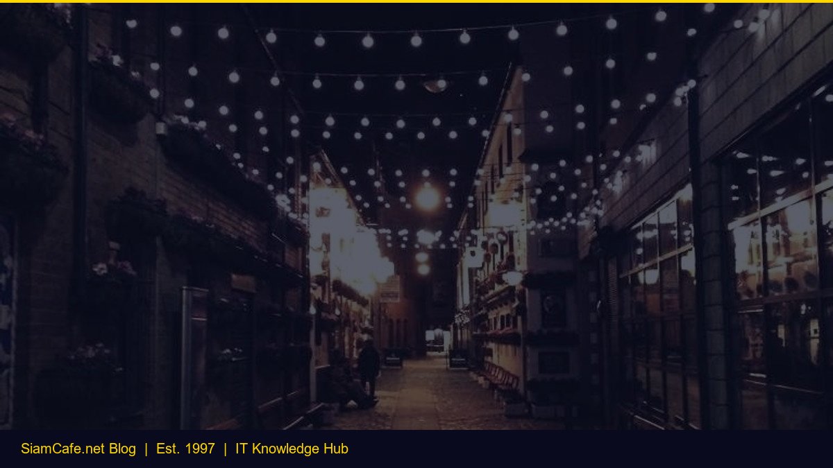 การเลือก IT Vendor