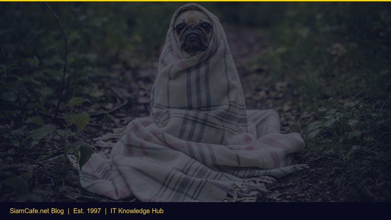 เปรยบเทยบ Amd vs Intel 2026 — คู่มือฉบับสมบูรณ์